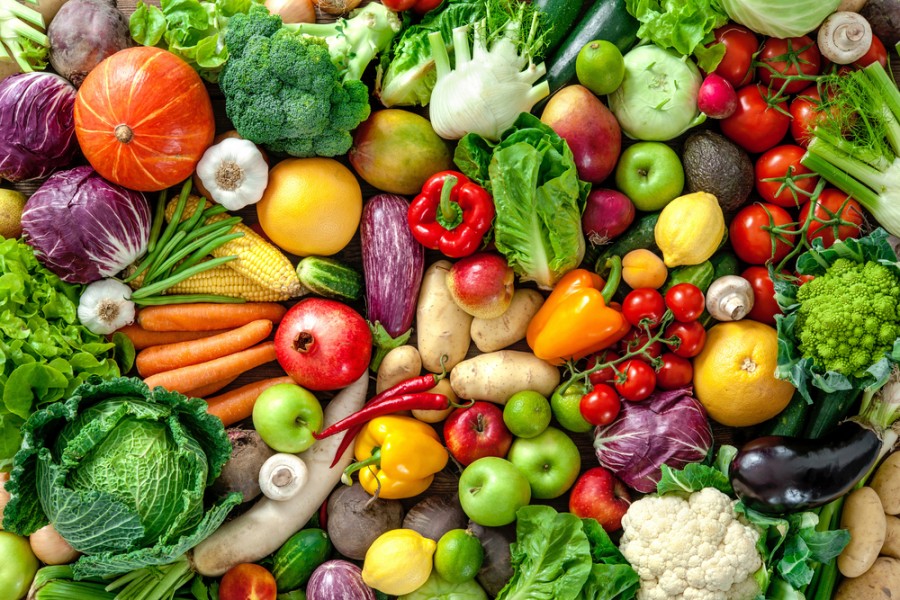 Quels sont les légumes les plus utilisés dans les galettes de légumes ?