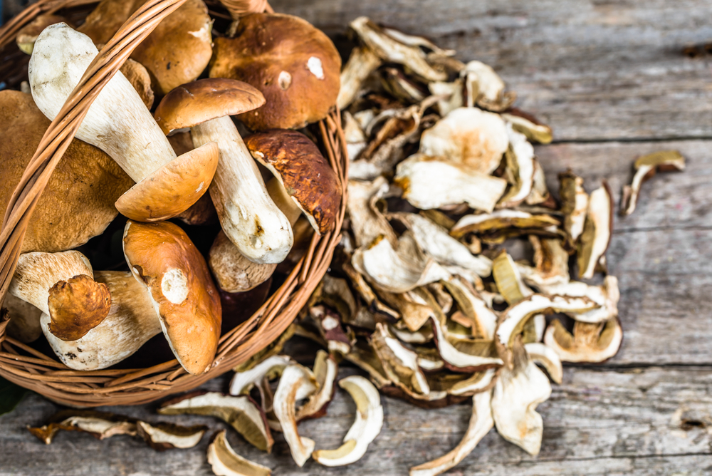 Parmi les bolets comestibles, lesquels utiliser en cuisine ?