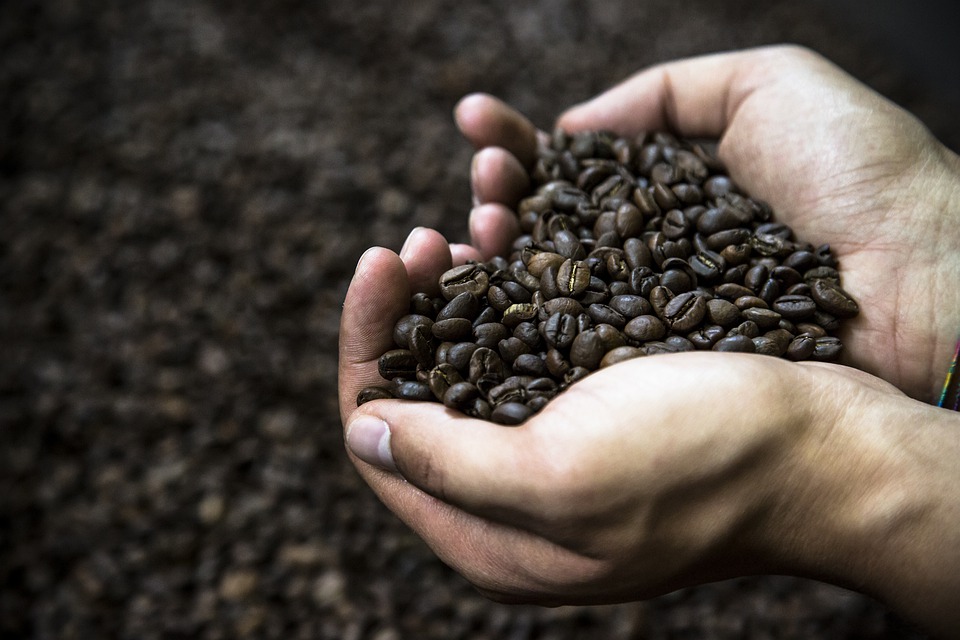 Quel café pour quel tempérament ?