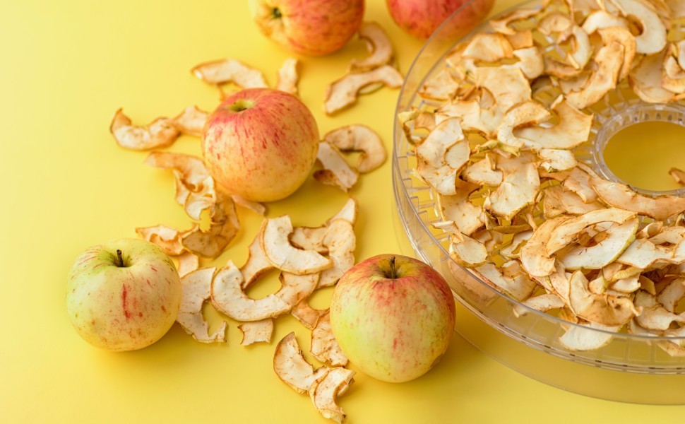 Déshydrateur alimentaire : pourquoi l'utiliser ?