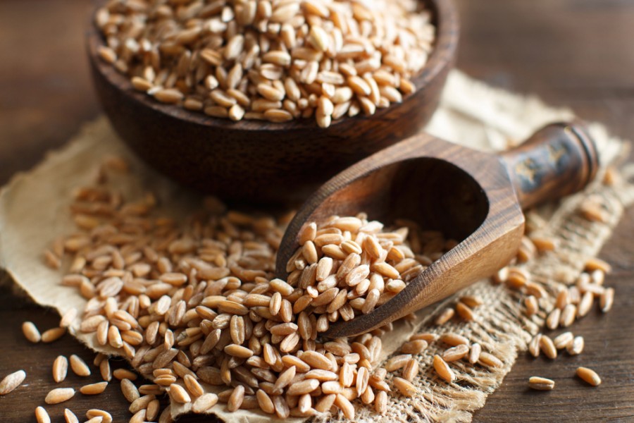 Epeautre gluten que savoir de cette alternative